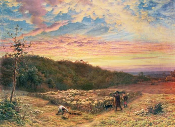 The Sheepfold - Morning in Autumn